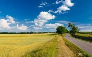 《路的盡頭是路》 《路的盡頭是路》