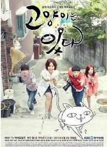 貓來了!喵 貓來了!喵