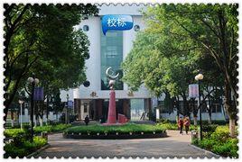 安陸市解放路國中 安陸市解放路國中