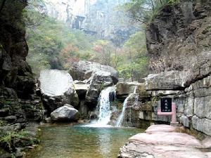 蜜蜂之鄉 蜜蜂之鄉