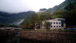 黃山樹木園 黃山樹木園