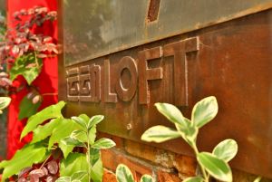 運動LOFT 運動LOFT