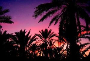 吉比利省 吉比利省