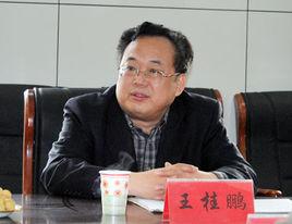 王桂鵬[山東省國土資源廳巡視員]