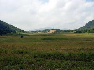 開縣馬雲林場 開縣馬雲林場