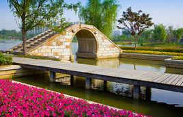 青楓公園 青楓公園