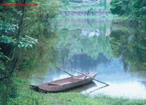 周公山省級森林公園 周公山省級森林公園