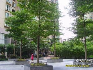 盛景國際花園 盛景國際花園