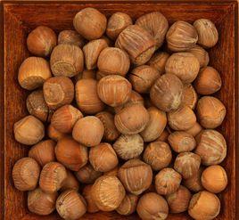 桓仁大榛子 桓仁大榛子