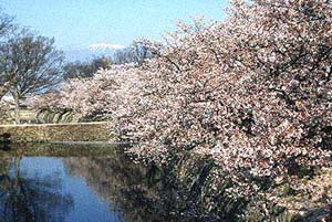 井之頭恩賜公園