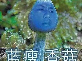 藍瘦香菇[網路流行語]