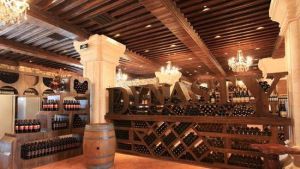 王朝御苑酒堡 王朝御苑酒堡