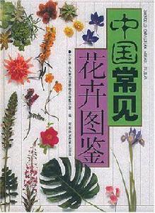 中國常見花卉圖鑑 中國常見花卉圖鑑