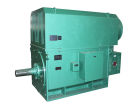 Y YKS YKK YRKS 高壓三相異步電動機(6KV)