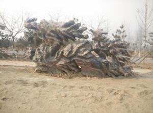 天然龍鳳呈祥石-龍石