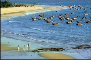 合浦儒艮自然保護區