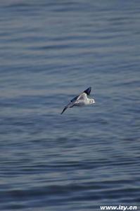五家渠青格達湖旅遊區