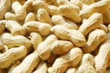 做花生燉豬腳的材料