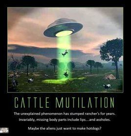 屠牛事件 屠牛事件