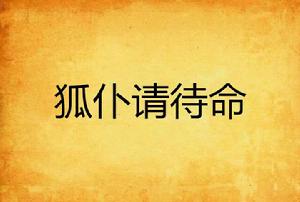 狐仆請待命 狐仆請待命