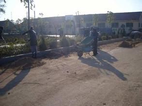 大蘭東村 大蘭東村