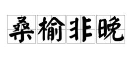 桑榆非晚 桑榆非晚
