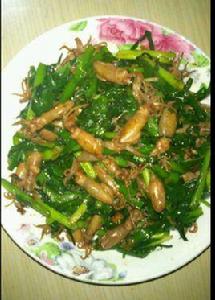 韭菜炒小墨斗魚 韭菜炒小墨斗魚