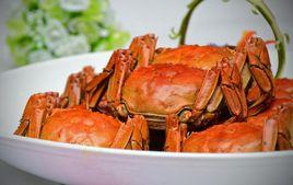 無為螃蟹 無為螃蟹