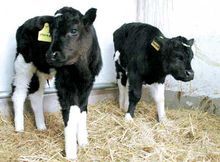 蘆台經濟開發區