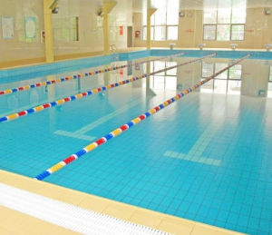 遠東恆溫游泳館 遠東恆溫游泳館