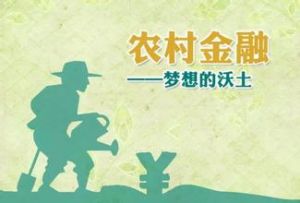 農村金融改革 農村金融改革