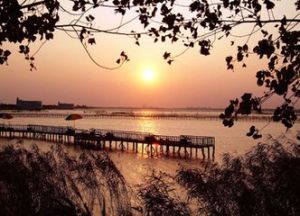 汾湖旅遊度假區 汾湖旅遊度假區