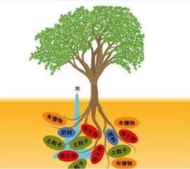 土壤肥力特徵 土壤肥力特徵