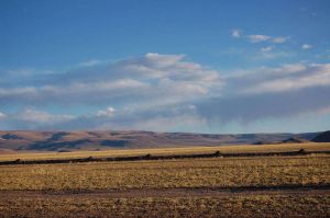 雄巴鄉[日喀則市昂仁縣雄巴鄉]
