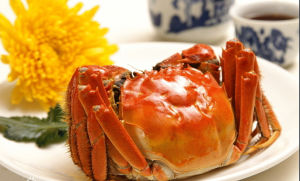 大閘蟹[雲南人民出版社出版圖書]