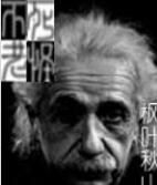 不死老怪 不死老怪