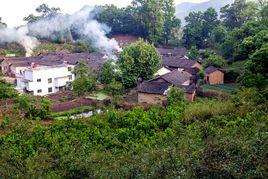 果子園村[安徽金寨縣果子園鄉下轄村]