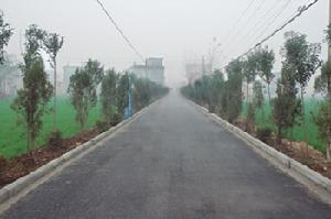 朱家莊村[山東省萊蕪市萊城區羊里鎮朱家莊村]