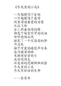 冬天裡的小鳥 冬天裡的小鳥