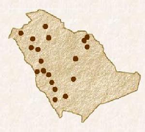 瑪甸&middot;沙勒遺址