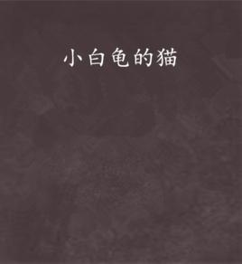 小白龜的貓 小白龜的貓