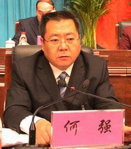 何強[江西省贛州四中校長]