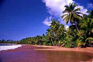 聖多美普林西比