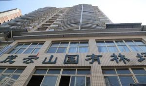 茂雲山林場 茂雲山林場