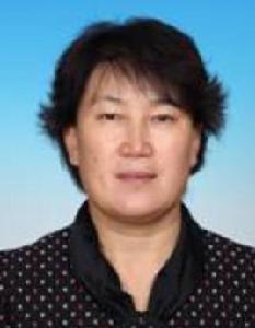 彭麗霞[北京市懷柔區人大常委會主任]