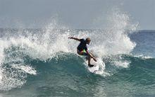 Nst[人格心理學]