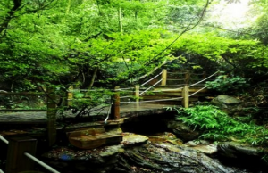 南丹山原生態風景區 南丹山原生態風景區