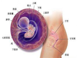 孕期見紅 孕期見紅