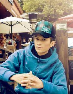 陸平[著名歌手]