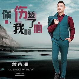 你傷透了我的心 你傷透了我的心